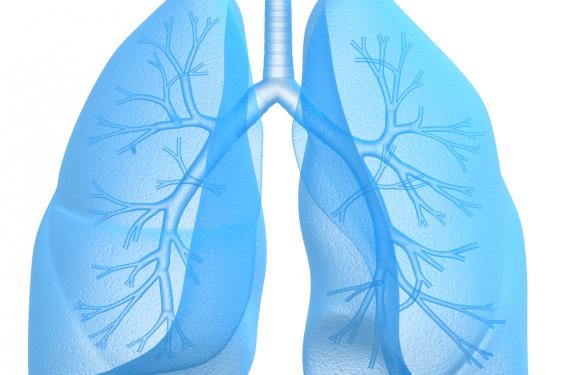 Place de l’échographie pulmonaire dans le diagnostic des pneumopathies communautaires de l’enfant